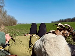 Picknick, Esel, Ziege, Lama, Alpaka, Halfter für Ziegen, Ziegentrekking, Ziegenwanderung, Wandern in Oberbayern, Rott am Inn